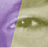 University of Washington Rush Brochure